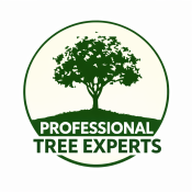 F4D09DB5-D75E-4B1A-9322-536C8DAD8A8A